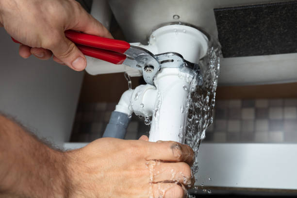 Best Water damage cleanup near me  in Beaver Falls, PA