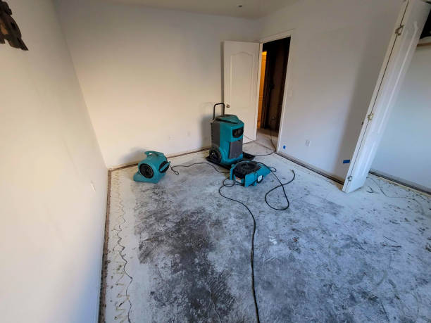 Best Sewage cleanup and water damage restoration  in Beaver Falls, PA