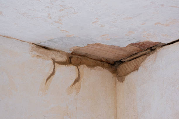 Best Professional water damage repair  in Beaver Falls, PA