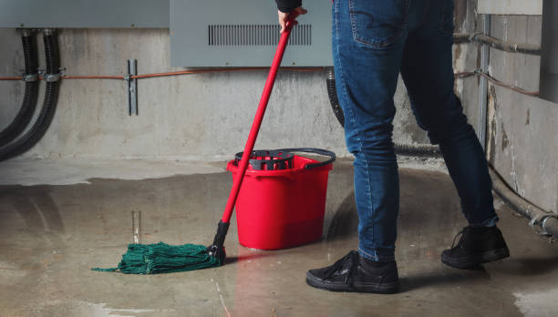Best Water damage contractors near me  in Beaver Falls, PA