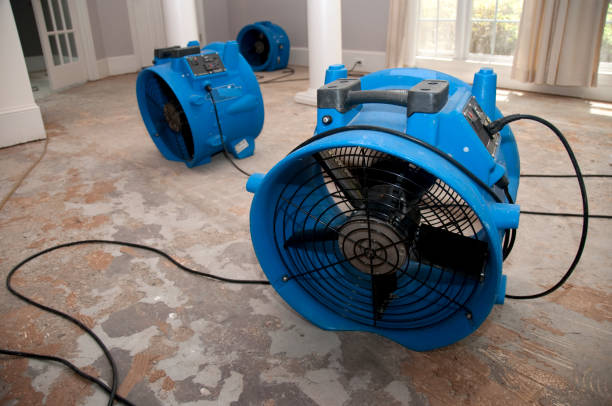 Best Ceiling water damage repair  in Beaver Falls, PA