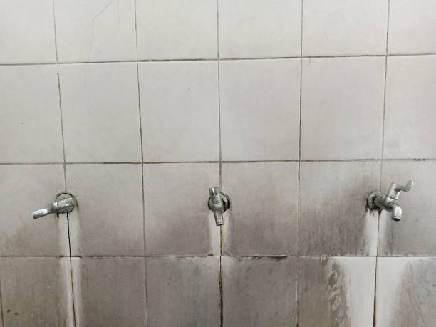 Best Water damage contractors near me  in Beaver Falls, PA