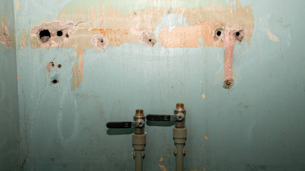 Best Emergency water damage restoration  in Beaver Falls, PA